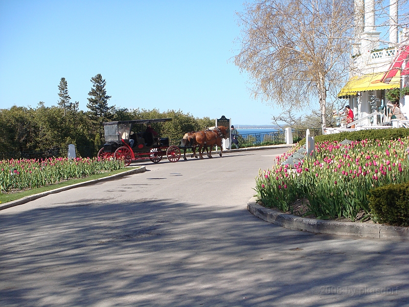 055 Memorial Day [2008 May 23].JPG - Scenes from Mackinac Island.